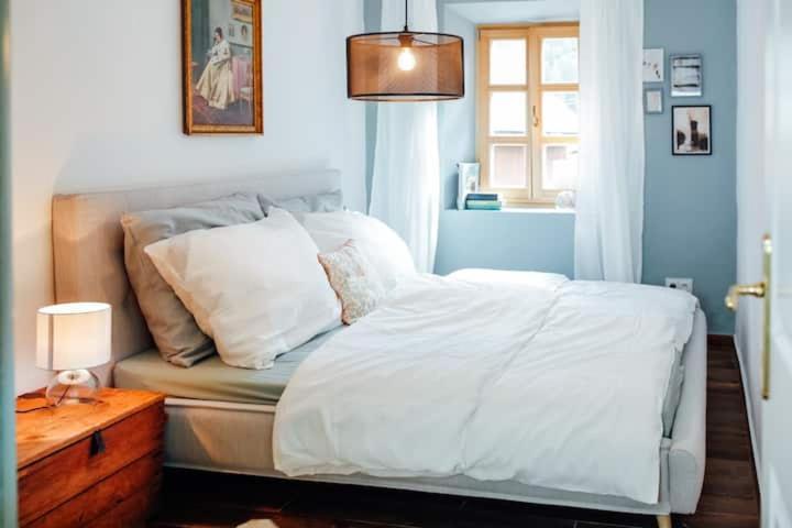 Apartment Aussee- Beletage Salzherrenhof- Kueche, Wlan, Netflix Бад Аузее Екстериор снимка